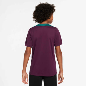 NIKE JR PSG 24-25 STRIKE SS TOP BORDEAUX/GEODE TEAL