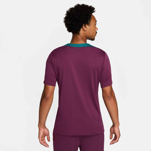 NIKE PSG 24-25 STRIKE SS TOP BORDEAUX/GEODE TEAL