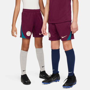 NIKE JR PSG 24-25 STRIKE SHORT BORDEAUX/GEODE TEAL