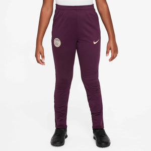 NIKE JR PSG 24-25 STRIKE PANT BORDEAUX/GEODE TEAL