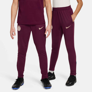 NIKE JR PSG 24-25 STRIKE PANT BORDEAUX/GEODE TEAL