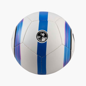 NIKE PREMIER LEAGUE 24-25 SKILLS MINIBALL WHITE/BLACK