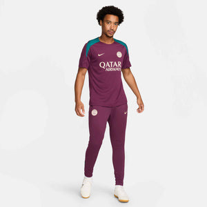 NIKE PSG 24-25 STRIKE SS TOP BORDEAUX/GEODE TEAL