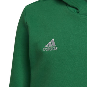 ADIDAS JR KVV SINT-DENIJSSPORT ENTRADA22 HOODY GREEN