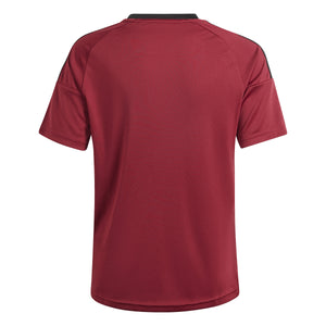 ADI JR BELGIE EURO24 FAN SHIRT BURGUNDY/GOLD