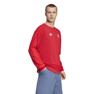 ADI BAYERN 24-25 DNA SWEATER POWER RED